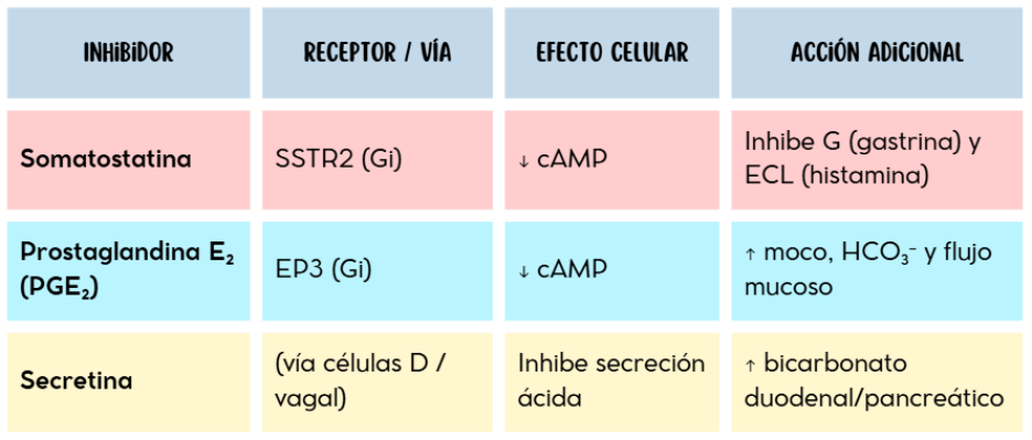 Inhibición de la secreción gástrica